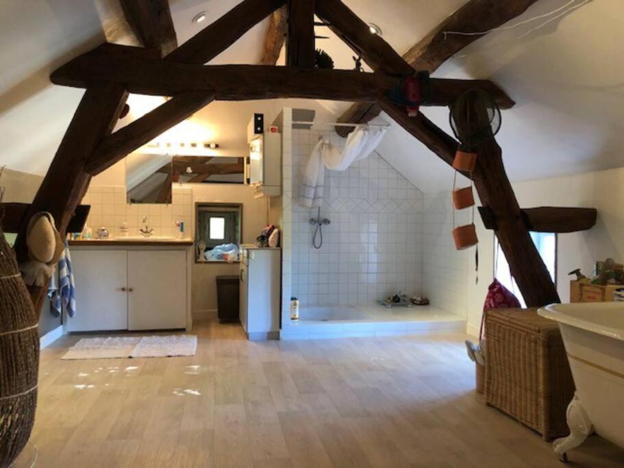 Magnifique Moulin Proche Chablis, Jacuzzi Et Riviere Villa Annay-sur-Serein Dış mekan fotoğraf
