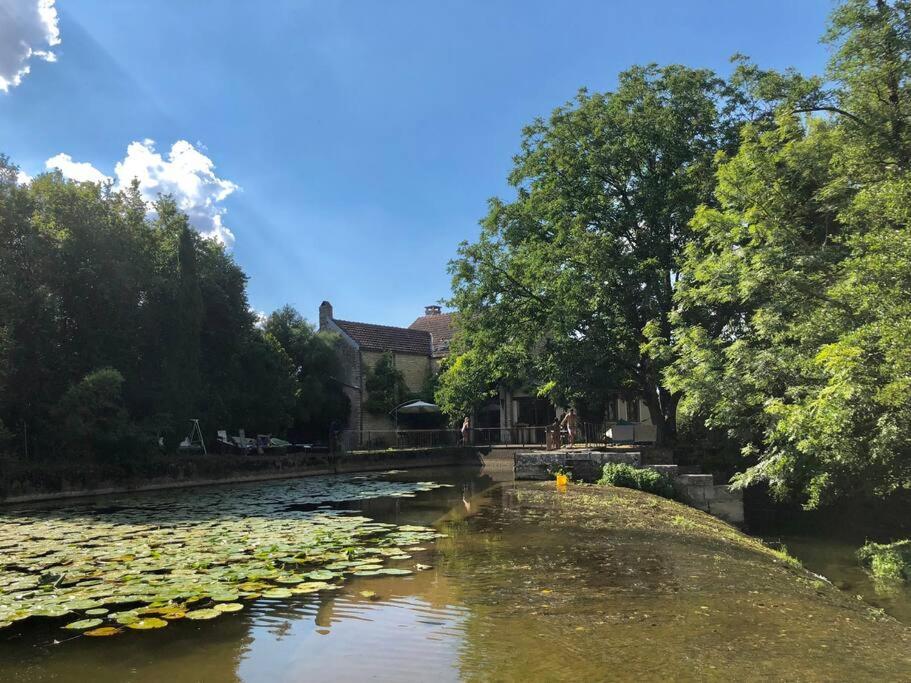 Magnifique Moulin Proche Chablis, Jacuzzi Et Riviere Villa Annay-sur-Serein Dış mekan fotoğraf