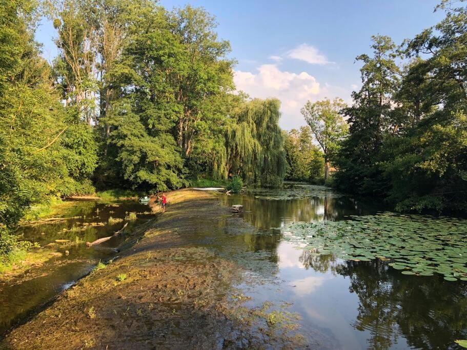 Magnifique Moulin Proche Chablis, Jacuzzi Et Riviere Villa Annay-sur-Serein Dış mekan fotoğraf